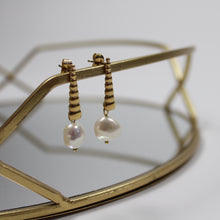Lade das Bild in den Galerie-Viewer, Ohrringe mit Perle Edelstahl vergoldet