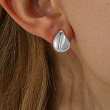 Lade das Bild in den Galerie-Viewer, Drop Earrings Silver
